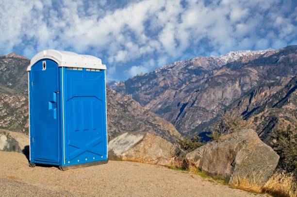 Best Portable bathroom rental  in Geneseo, IL