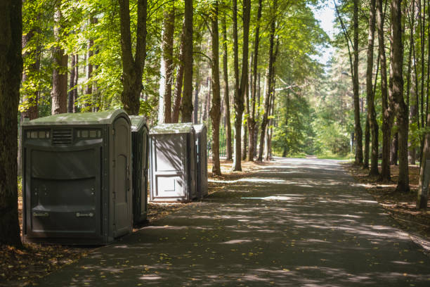 Best Luxury portable toilet rental  in Geneseo, IL